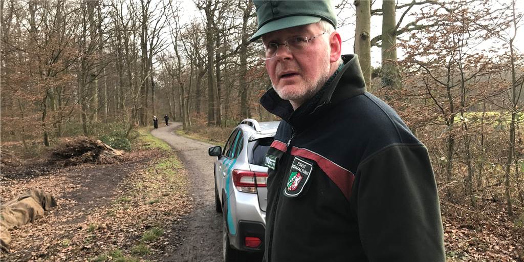 Bis zu 30 Grad in Castrop-Rauxel: Förster und Stadt weisen auf Probleme hin Revierförster Matthias Klar im Grutholz: Der Experte warnt seit drei, vier Jahren, dass der Wald vor dem Tod steht.