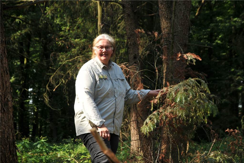 „Drastisch wenig Wasser“ bedroht Wälder: Försterin Andrea Balke schlägt Alarm Revierförsterin Andrea Balke hofft auf viel Regen und einen nicht so heißen Sommer.