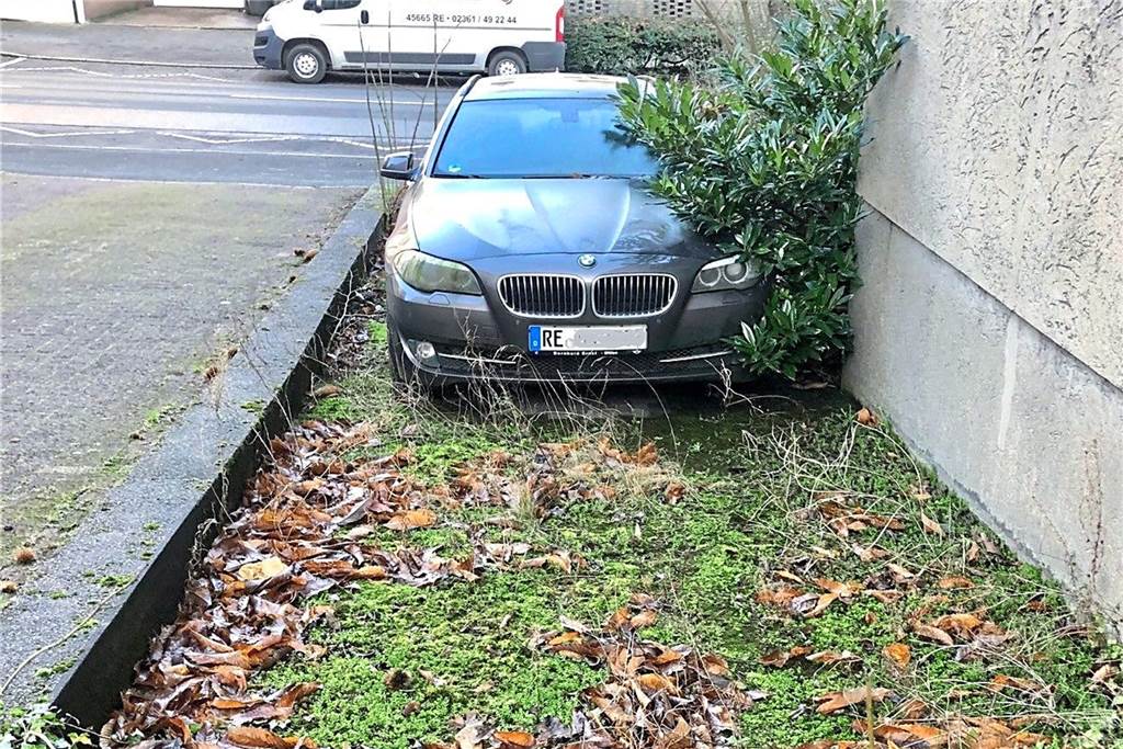 Recklinghausen: Besitzer einer verwahrlosten Immobilie ist nicht aufzufinden Rhododendron gegen BMW: Die Pflanze scheint zu gewinnen.