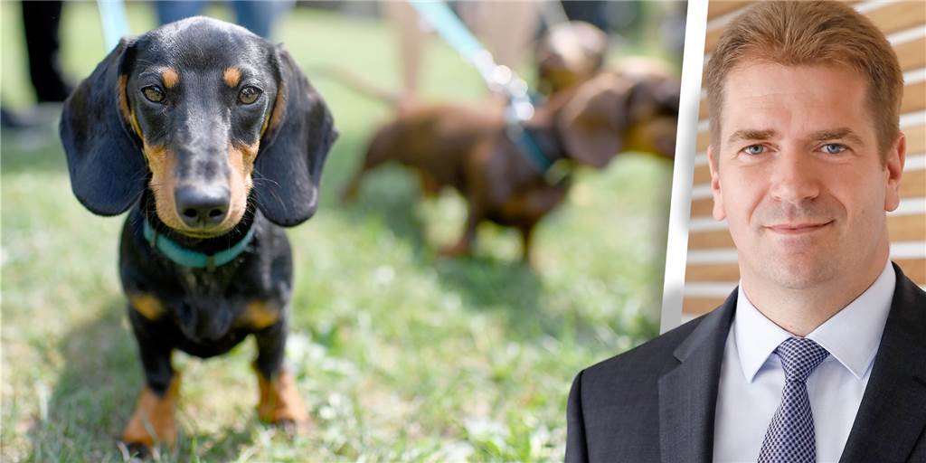 Schwerte gehört bei der Hundesteuer zu den teuersten Städten in NRW Rik Steinheuer vom Bund der Steuerzahler findet: „Die Hundesteuer gehört abgeschafft.“