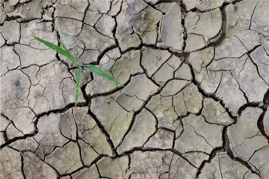 Auf die Dürre folgte die Flut: Klimawandel in NRW Risse durchziehen den trockenen Boden auf einem Feld bei Duisburg.