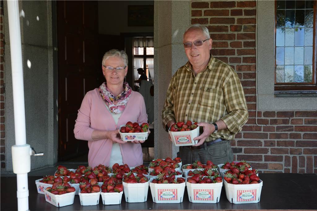 Erdbeeren zum Selberpflücken in Werne wieder möglich - mit Hygieneregeln Rita und Martin Schulze Twenhöven bieten ihre Erdbeeren im eigenen Hofladen und zum Selberpflücken an.