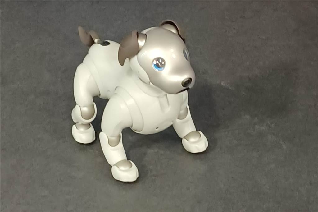 Pflegeroboter zu Besuch in Tagespflege: Keine Berührungsängste bei Senioren Roboter-Hund Aibo kam bei den Gästen der Tagespflege gut an und bleibt nun noch ein paar Wochen in Lünen.