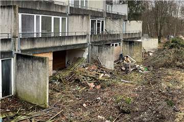 Rodungsarbeiten hinter den ehemaligen Wohnhäusern am Wulfener Markt