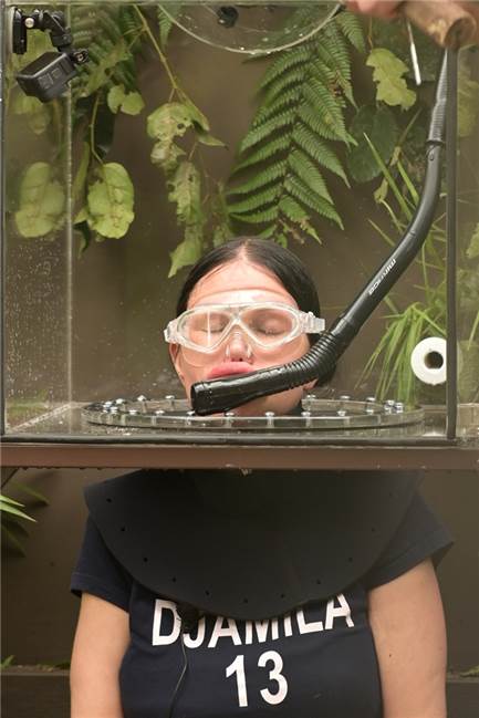 Gewinnerin der Herzen: Djamila Rowe gewinnt das Dschungelcamp 2023 Djamila steckt mit dem Kopf in einem Wassertank.