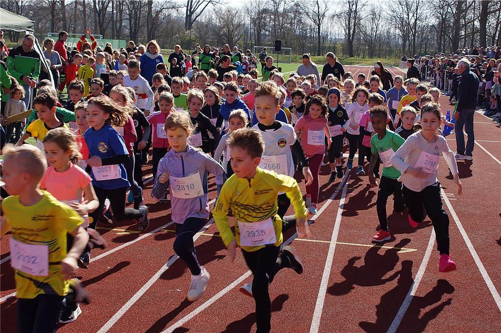 Ruhrtallauf Fröndenberg 2024