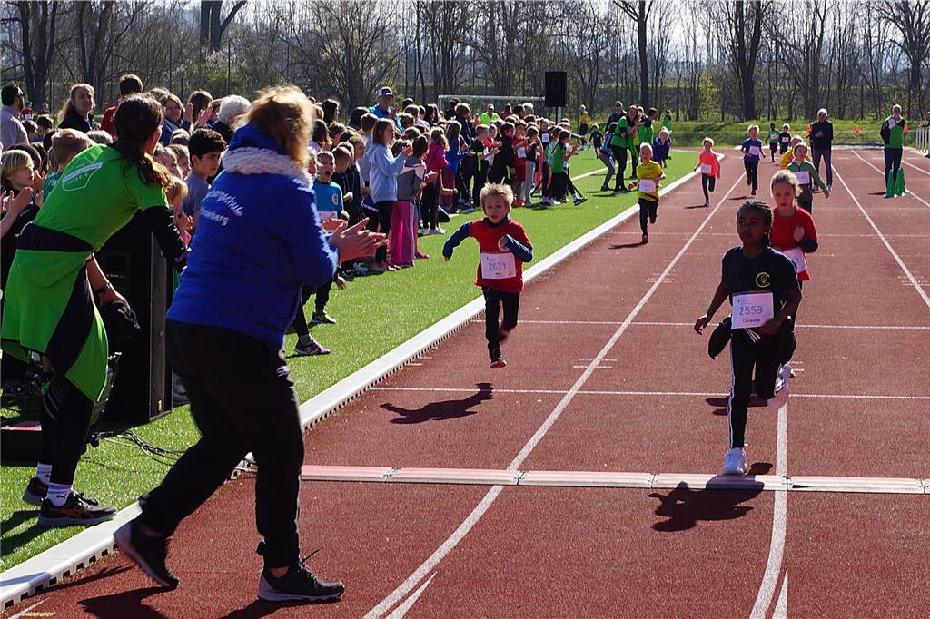 Ruhrtallauf Fröndenberg 2024