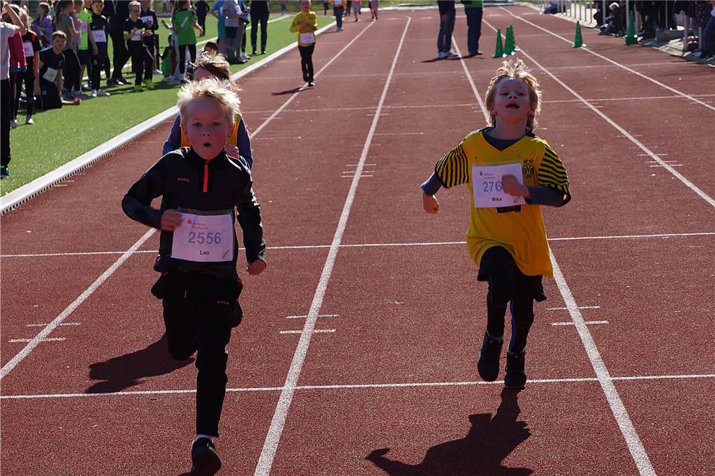 Ruhrtallauf Fröndenberg 2024