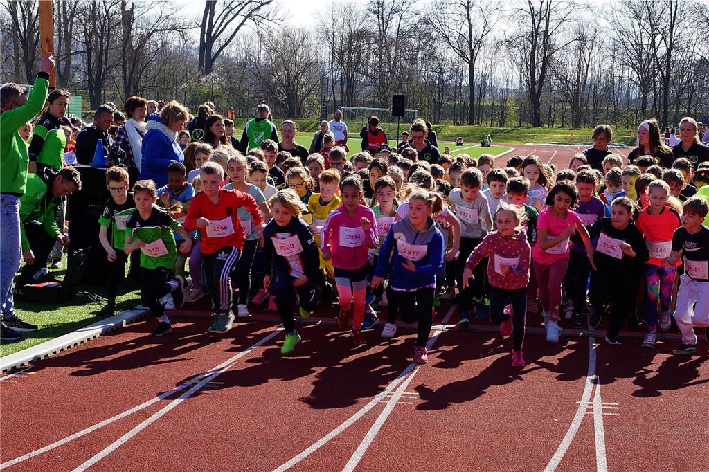 Ruhrtallauf Fröndenberg 2024