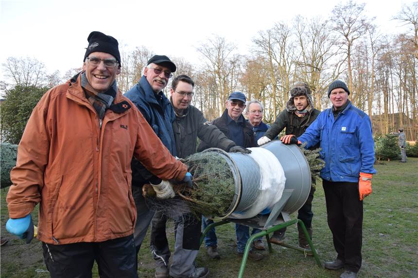 Sythener suchen im Schlosshof den perfekten Tannenbaum Rund 20 Helfer des Heimatvereins Sythen helfen mit beim Tannenbaumverkauf.