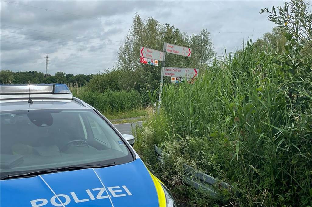 Hund der ermordeten Schülerin (17) gibt Hinweis auf den Ex-Freund (26) Ein Polizeiwagen vor Ort.