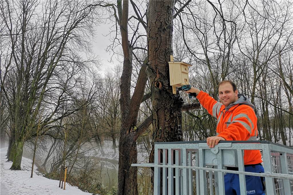 Blaues Klassenzimmer: Lippeverband hängt Nistkästen an der Stever auf Rund 60 neue Nisthilfen für verschiedene Vogelarten befestigten die Mitarbeiterinnen und Mitarbeiter des Lippeverbandes aktuell in den Kreisen Wesel und Recklinghausen. Hier Andreas Heitkamp bei der Montage.