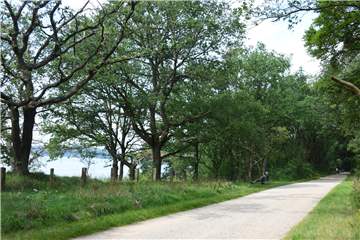 Rund um den Stausee sollen die Radwege erneuert werden. Hier am Karl-Homann-Weg fanden bereits erste Arbeiten statt.