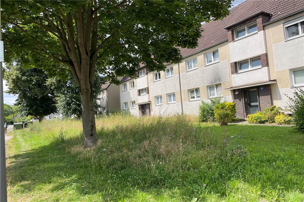 LEG-Mieter beschwert sich über Wucher-Vorgarten: Insektenparadies oder ungepflegte Anlagen? Rund um die wilde Wiese haben zwei Gärtner der Stadt gemäht. Aber an manchen Stellen erreichen die Wildblumen 1,80 Meter Höhe.