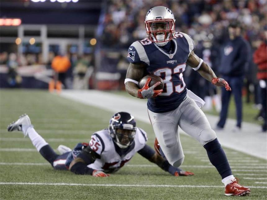 NFL: New England und Atlanta erreichen Playoff-Halbfinale Running Back Dion Lewis von den New England Patriots macht nach einem Pass von Tom Brady den ersten Touchdown im Spiel gegen Houston Texans. Foto: Steven Senne