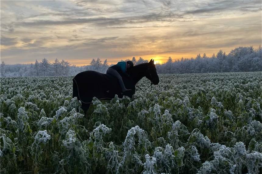 Die schönsten Fotos unserer Leser aus dem winterlichen Haltern Sabrina Pietsch hat uns dieses schöne Winterbild zugeschickt.