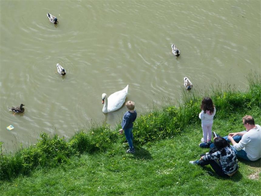 Meteorologen erwarten perfektes Badewetter Samstag wird der perfekte Tag für einen Ausflug zum See.