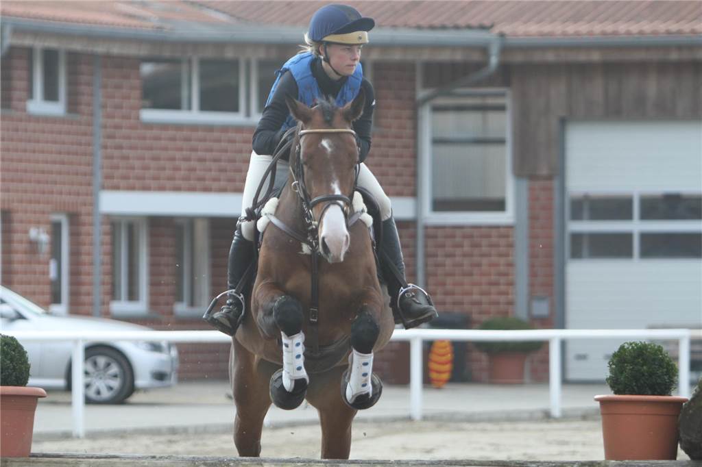 Olympiazweite startet beim Reitturnier des RV St. Georg Werne Sara Algotsson-Ostholt, die Olympiazweite von 2012, springt mit ihrem braunen Pferd über ein Geländehindernis auf der Reitanlage Ehringhausen und visiert den nächsten Sprung an.