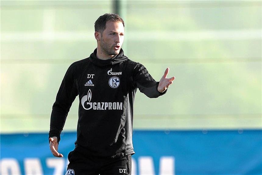 Domenico Tedesco: Der königsblaue Casting-Trainer Schalke-Coach Domenico Tedesco beteiligt sich aktiv an der Verplflichtung von Spielern.