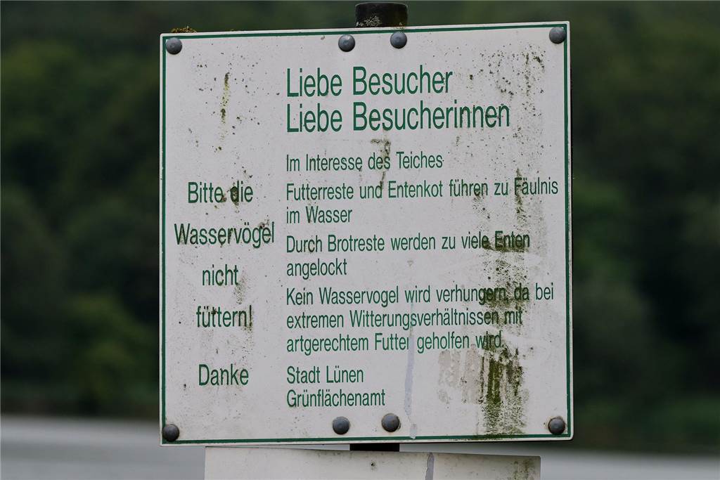 Schilder am See weisen darauf hin, dass die Tiere nicht gefüttert werden sollen.