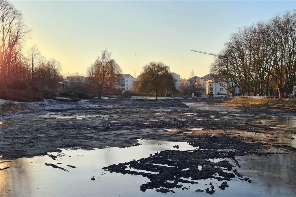 Enten schwimmen auf dem Gondelteich: Hat die Wasserbefüllung begonnen? Schlamm und Pfützen prägten das Bild des Gondelteichs in den vergangenen Monaten.