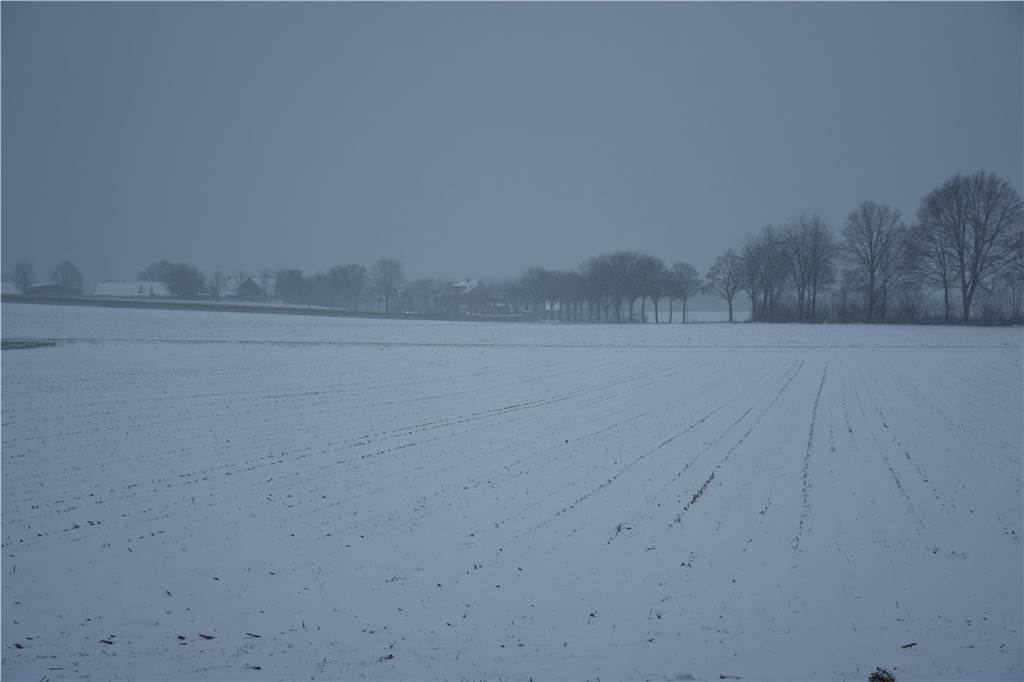 Schnee hat Haltern in eine weiße Winterlandschaft verwandelt. Wir waren in der Innenstadt, in Lavesum, Sythen und am Silbersee.