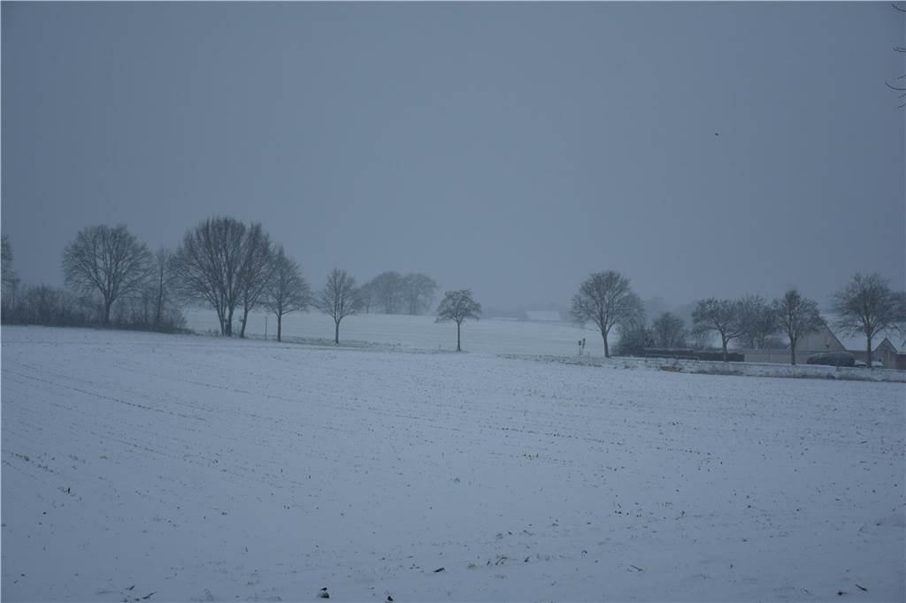 Schnee hat Haltern in eine weiße Winterlandschaft verwandelt. Wir waren in der Innenstadt, in Lavesum, Sythen und am Silbersee.