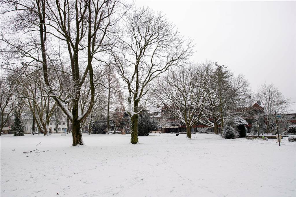 Schnee hat Haltern in eine weiße Winterlandschaft verwandelt. Wir waren in der Innenstadt, in Lavesum, Sythen und am Silbersee.