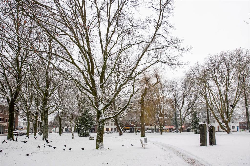 Schnee hat Haltern in eine weiße Winterlandschaft verwandelt. Wir waren in der Innenstadt, in Lavesum, Sythen und am Silbersee.