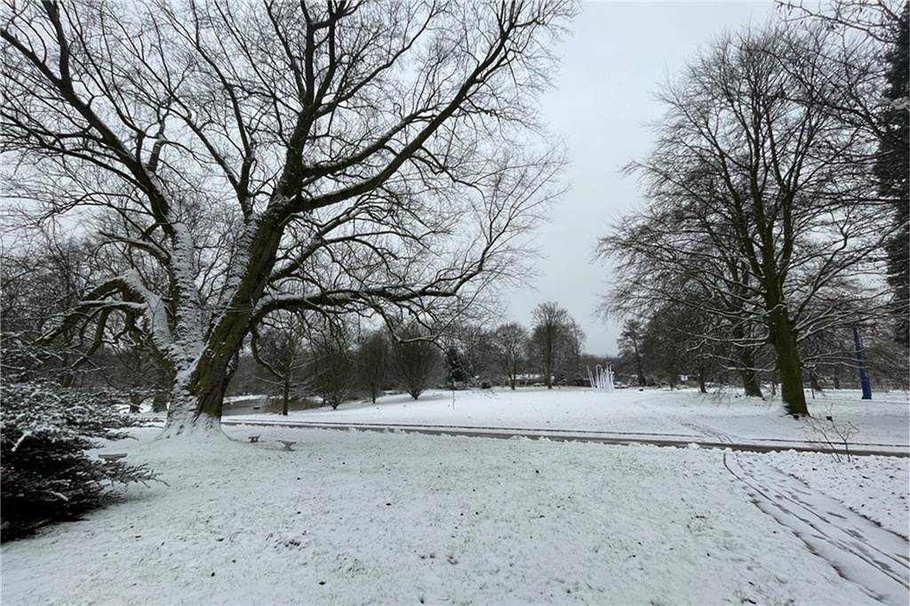 Schnee im Westfalenpark.
