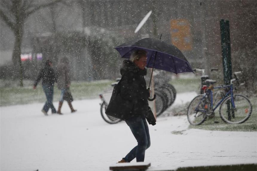 Erster richtiger Schneefall - 65 Unfälle Schnee in Dortmund: Diese Frau kämpft sich am Stadtgarten durch den Schneefall.