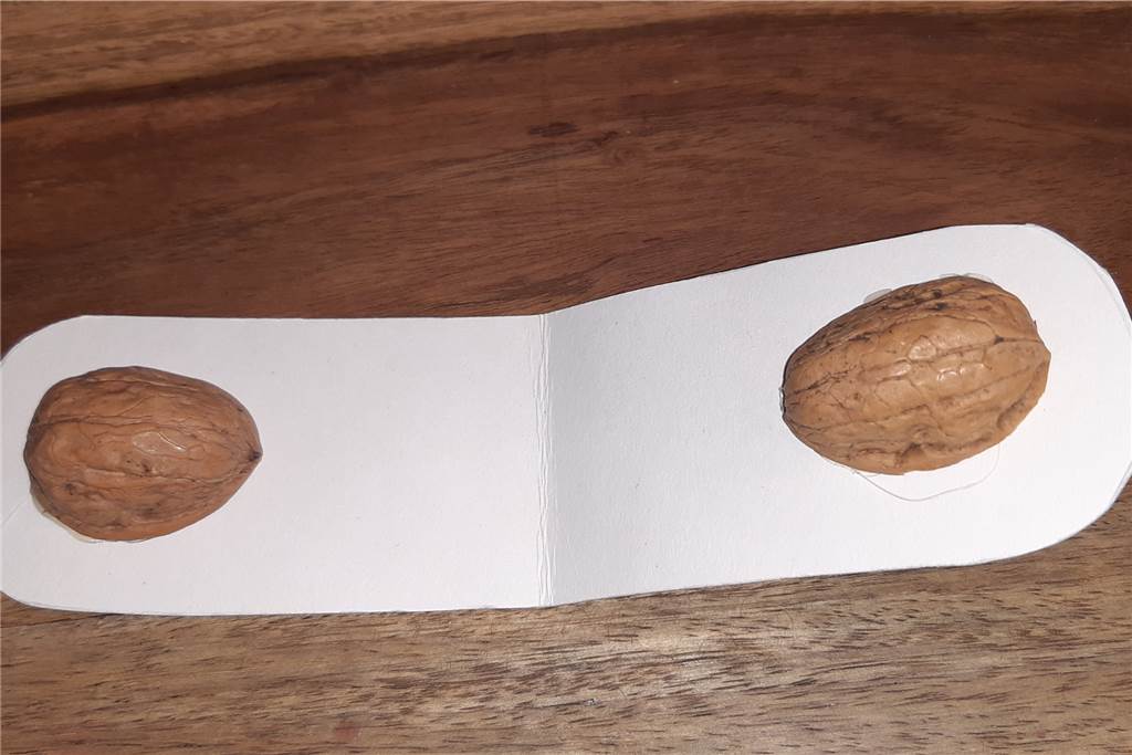 Musizieren für Kinder: Instrumente leicht selber bauen Schnell gebaut lässt sich mit dem Klapperinstrument einfach der Rhythmus eines Liedes beibehalten.