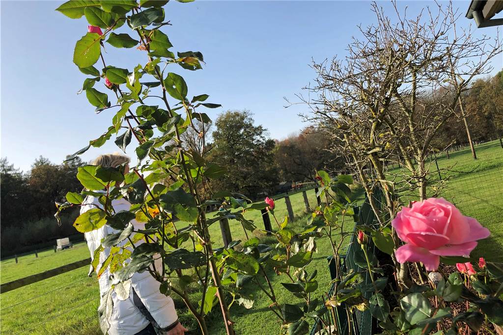 Picknicken, Kochen, Wandern: Ideen für das erste Date im Corona-Lockdown Schöne Eindrücke kann man auf den diversen Rundwanderwegen sammeln.