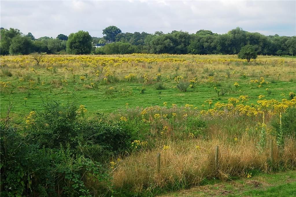 Schönen Landschaften liegen auf dem Weg.