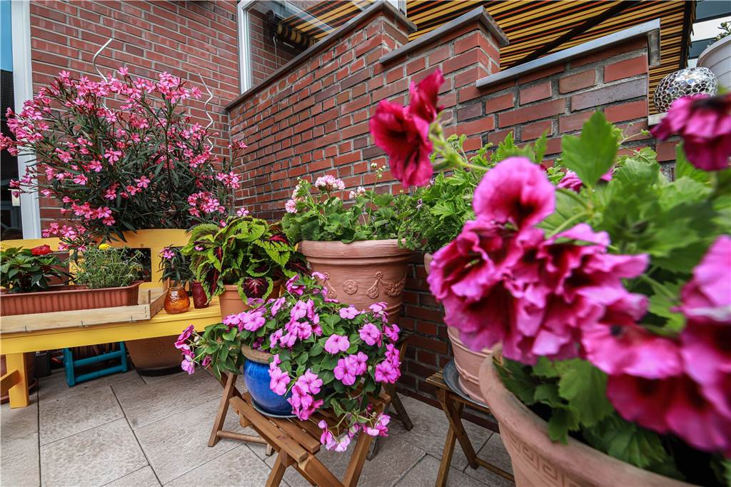 Schon auf der Terrasse finden sich die unterschiedlichsten Blumen.