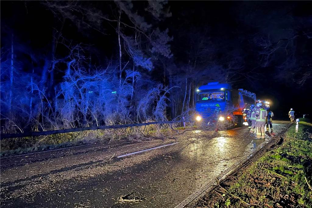 Sturmtief in Raesfeld und Schermbeck: Stromausfall und Feuerwehreinsätze Schon um 4.29 Uhr war die Nacht für die Feuerwehrleute in Raesfeld vorbei: Der Sturm hatte einen Baum auf die Homerstraße stürzen lassen.