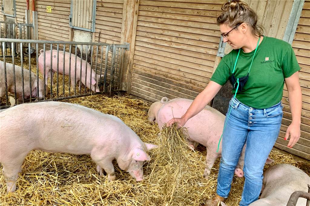 Biohof in Dortmund: Keine Schweinereien mit dem Schweinefleisch Schultenhof-Landwirtin Anne Hülsen kümmert sich um die Schweine.