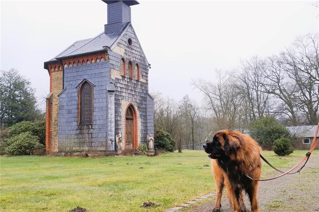 Schulze Pellengahr ist ein westfälisches Geschlecht, ursprünglich vom ehemals fürstbischöflichen Schultenhofe Pellengahr im Kirchspiel Beckum (Kreis Warendorf) stammend. Zum Hofe in Davensberg gehört diese Kapelle 