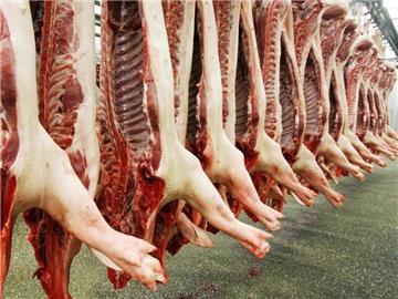 Schweinehälften in einem Schlachthof: Nicht nur in Deutschland, sondern auch in anderen EU-Ländern sinkt die Nachfrage. Foto: Ronald Wittek