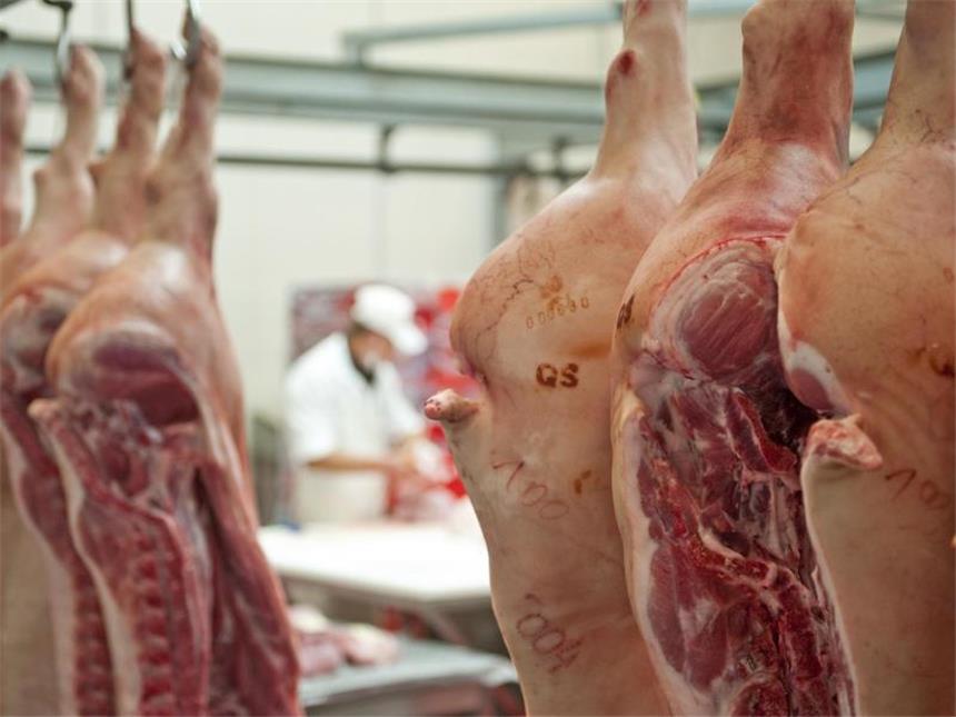 Deutsche Fleischproduktion erreicht Rekord Schweinehälften in einer Großfleischerei bei Chemnitz. Mit 8,22 Millionen Tonnen wurde im vergangenen Jahr in Deutschland so viel Fleisch produziert wie noch nie. Foto: Hendrik Schmidt