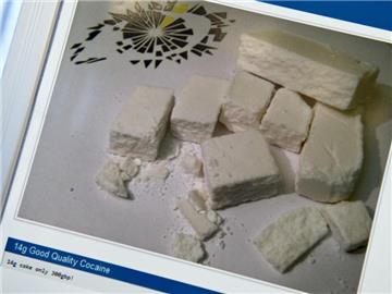 Screenshot der illegalen Internet-Handelsplattform «Silk Road 2.0»: «Silk Road»-Gründer Ross Ulbricht droht in den USA lebenslange Haft. Foto: Boris Roessler/Archiv