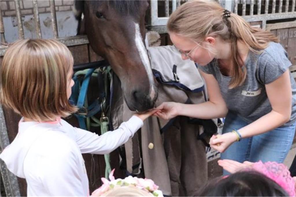 Reitverein mit Hilferuf – Jessy Vorspohl: „Wir waren einfach verzweifelt“ Sechs Pferde sind aktuellem im Bestand des Reitvereins. Auch für die Kinder- und Jugendarbeit sind die Tiere wichtig. So auch bei angebotenen Ferienfreizeiten