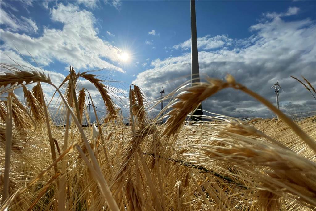 Castrop-Rauxels neunte Windkraftanlage: Hier könnte sie gebaut werden Sechs Windkraftanlagen stehen auf dem Schweriner Berg. In Becklem eine, bei Rain Carbon eine: zusammen sind es acht im Stadtgebiet. Vielleicht kommt in Bladenhorst eine weitere hinzu.