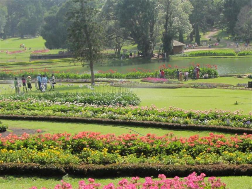 Abseits vom Trampelpfad: Unterwegs in Myanmars Norden Seen und Blütenmeer: Der Kandawgyi Garten am Rande von Pyin Oo Lwin. Die frühere Garnisonsstadt liegt über 1000 Meter hoch und 70 Kilometer nordöstlich der Mandalay. Foto: Bernd Kubisch