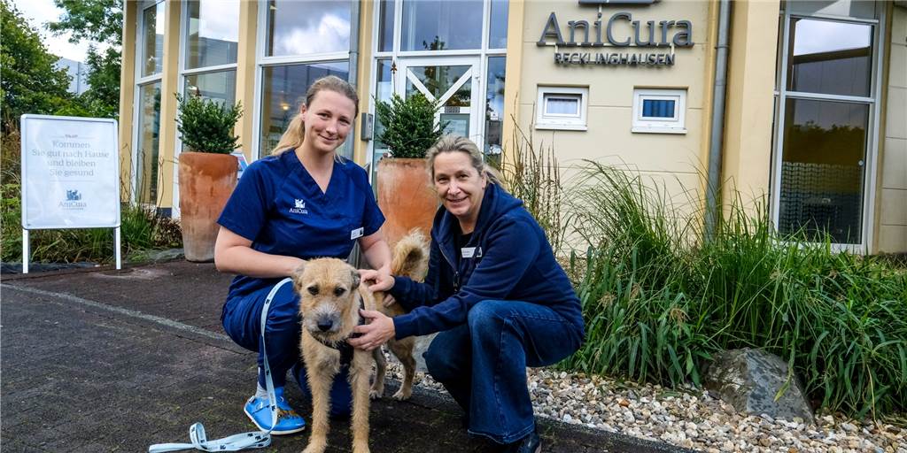Tierklinik AniCura stellt Notdienst am Wochenende ein – Managerin benennt die Gründe Zwei Frauen blauen Oberteilen mit der Aufschrift "AniCura" knien vor einem Gebäude. Zwischen ihnen steht ein Hund.