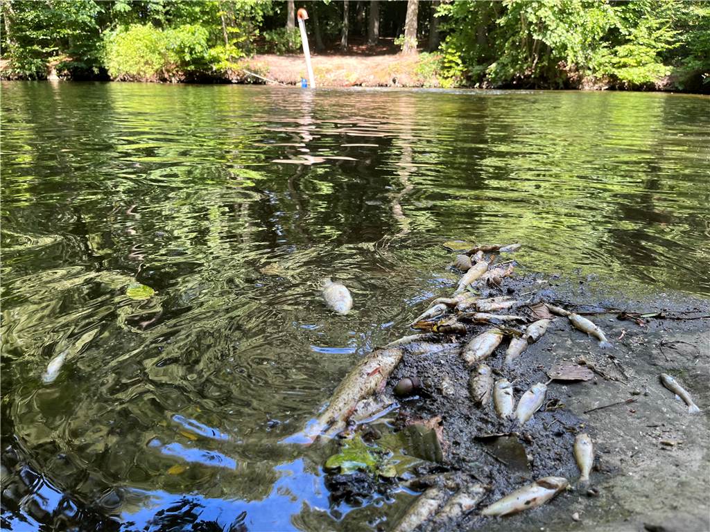 Anwohner sind stinksauer: „Gelsenwasser ist sehenden Auges in die Katastrophe gegangen“ Seit dem 22. August ist der Strahllüfter im Hintergrund auf Höhe der Siedlung Overath in Betrieb. Die Hilfe kommt viel zu spät, meinen einige Anwohnerinnen und Anwohner der Siedlung.