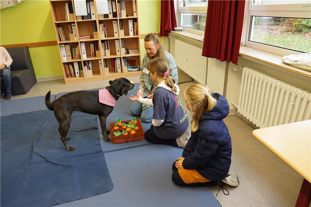 Seit diesem Schuljahr gehören die Hunde Mex und Izzy zum festen Bestandteil des Schulalltages.