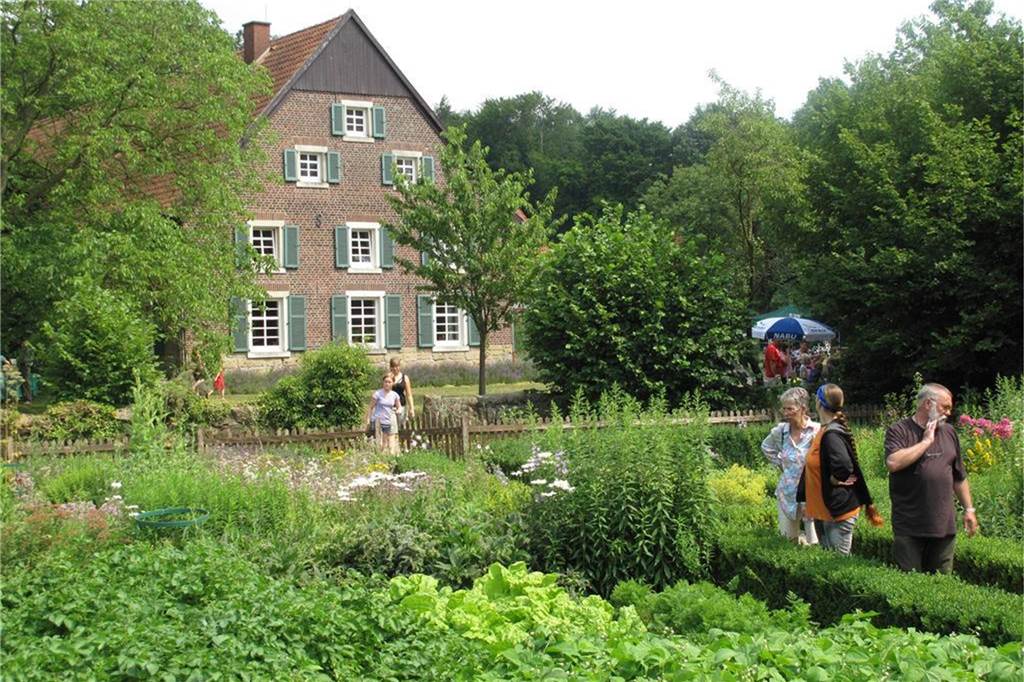 Greifvogelauffangstation in Haltern ist geschlossen - Ersatz ist in Sicht Seit Jahren ist die Biologische Station auf dem Hof Punsmann im Naturpark Hohe Mark zu Hause.