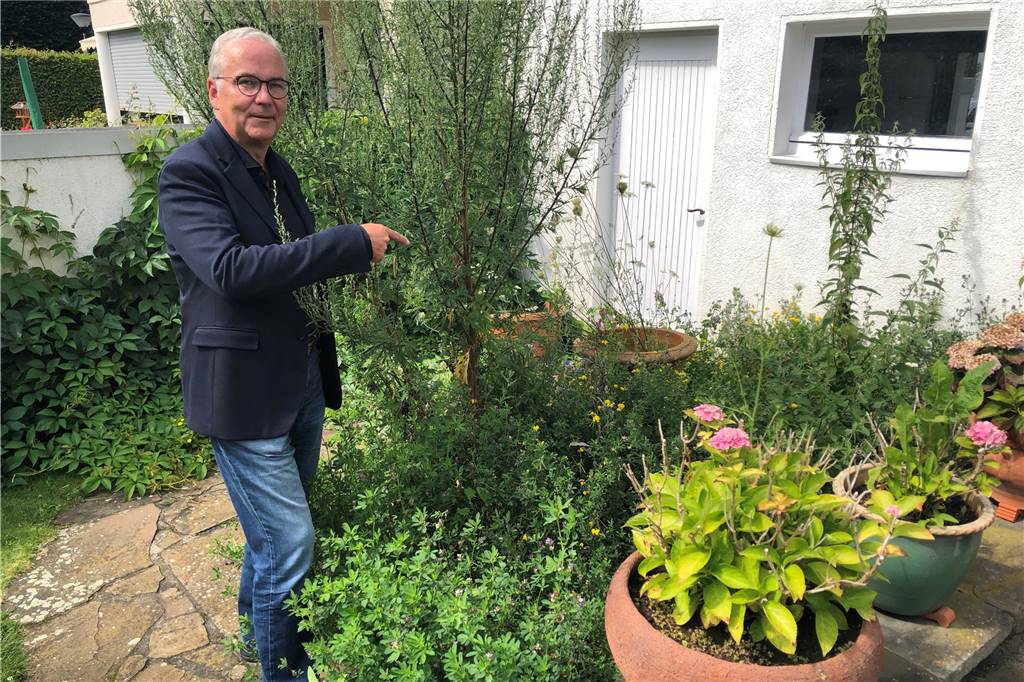 Klaus Wegener – Radelnder CDU-Kandidat mit einer Ecke Anarchie Seit Jahren schon lässt Klaus Wegener das Bienenbeet in seinem Garten wild sprießen. Die Bienen danken es ihm mit viel Gebrumm.