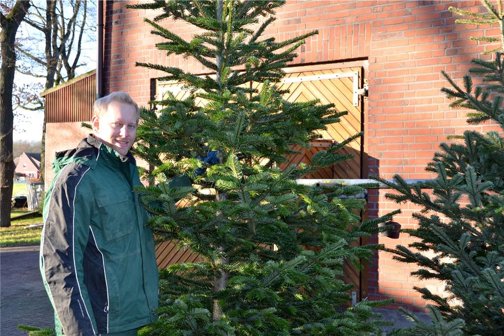 Nächste Generation: Sohn Mathias übernimmt Hof Koch in Haltern Seit mehr als 30 Jahren verkauft Familie Koch Tannenbäume vor Weihnachten.